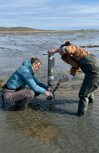 CS3_Spain_February_2026_7-1