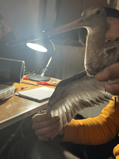 CS3_Spain_February_2026_8