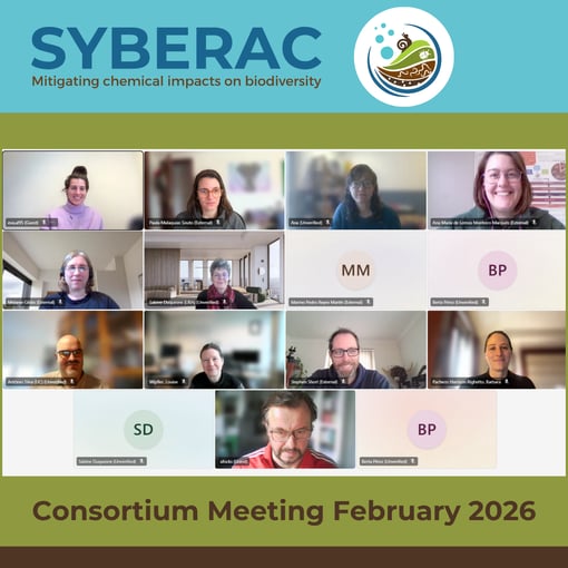 SYBERAC_CM_Feb_2026_2